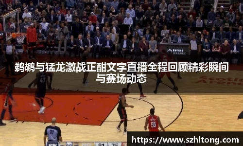 鹈鹕与猛龙激战正酣文字直播全程回顾精彩瞬间与赛场动态